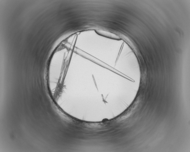 X0000111011149200907311046