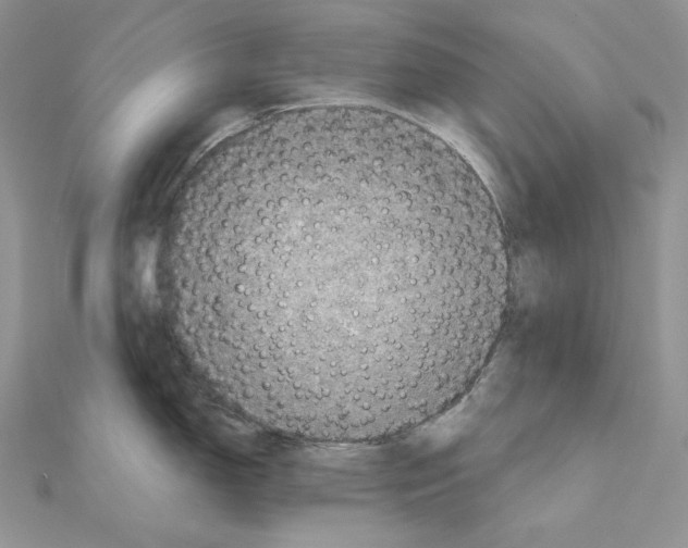 X0000111011150200907311046