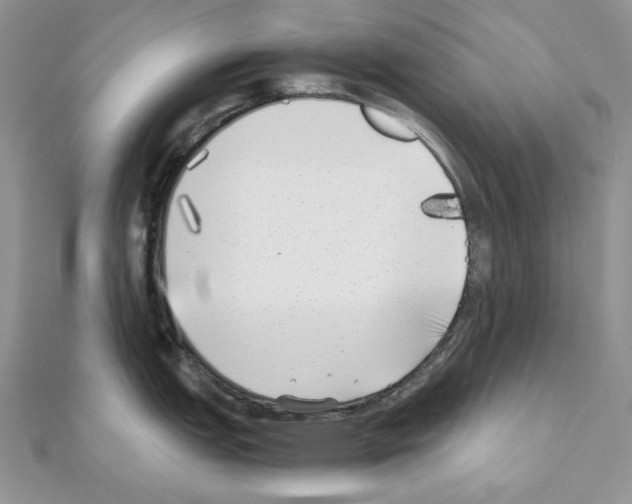 X0000111011151200907311046