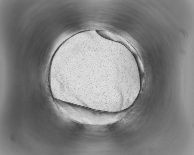 X0000111011152200907311046