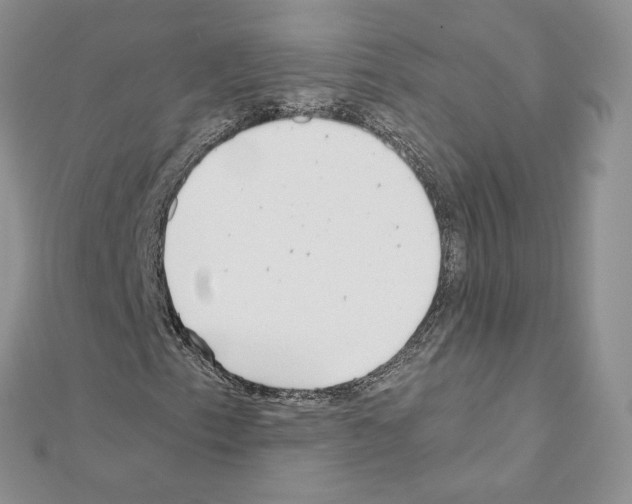 X0000111011153200907311046