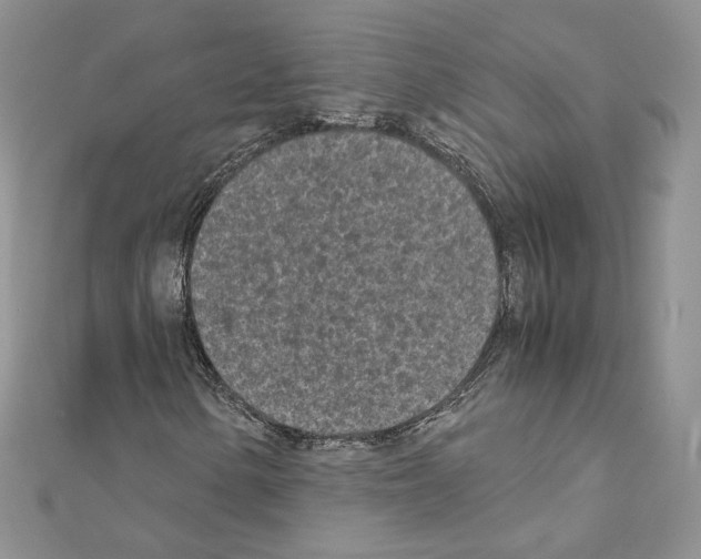 X0000111011154200907311046