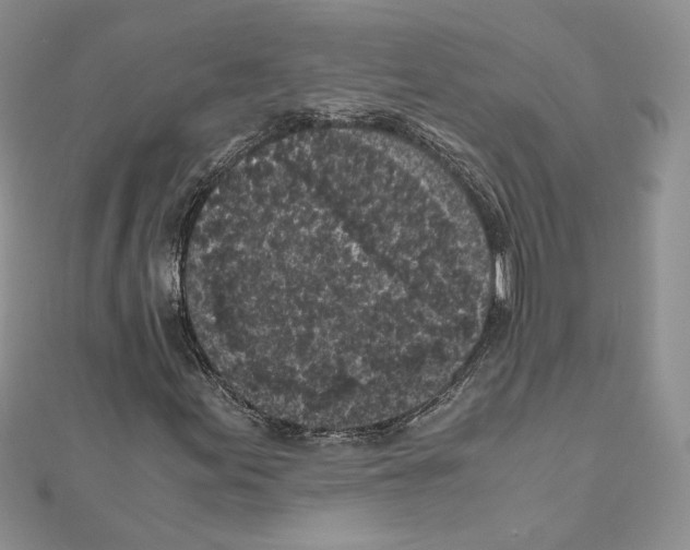 X0000111011155200907311046