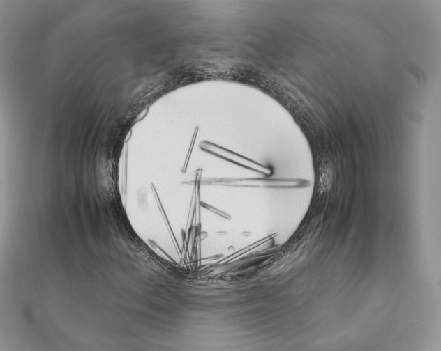 X0000111011156200907311046