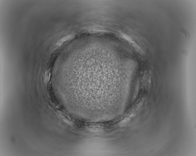 X0000111011157200907311046