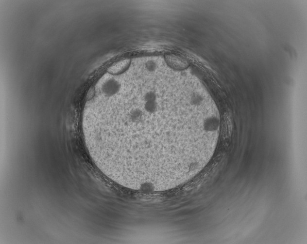 X0000111011158200907311046