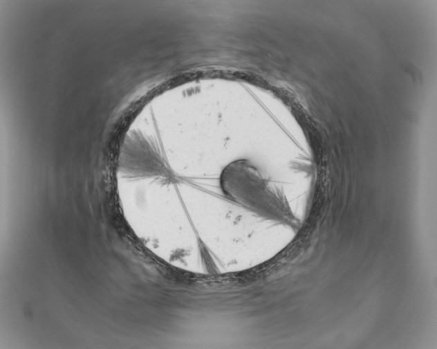 X0000111011159200907311046