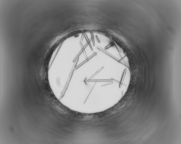 X0000111011160200907311046