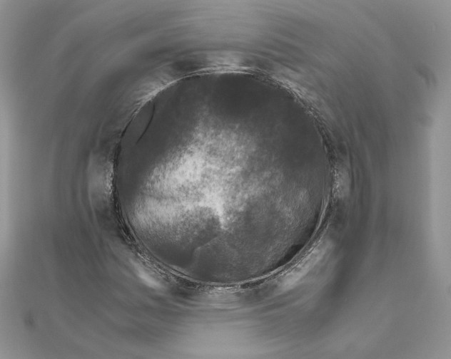 X0000111011161200907311046