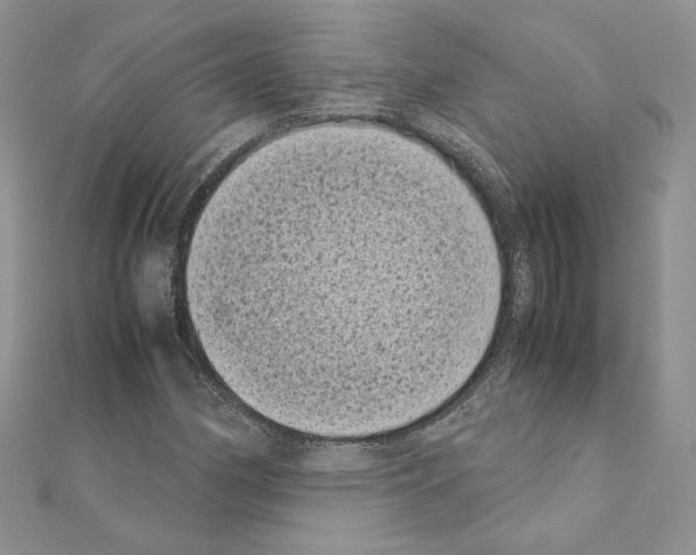 X0000111011162200907311046