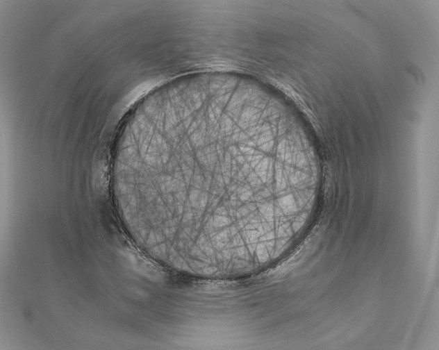 X0000111011163200907311046