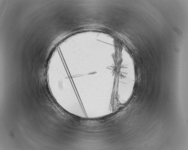 X0000111011164200907311046