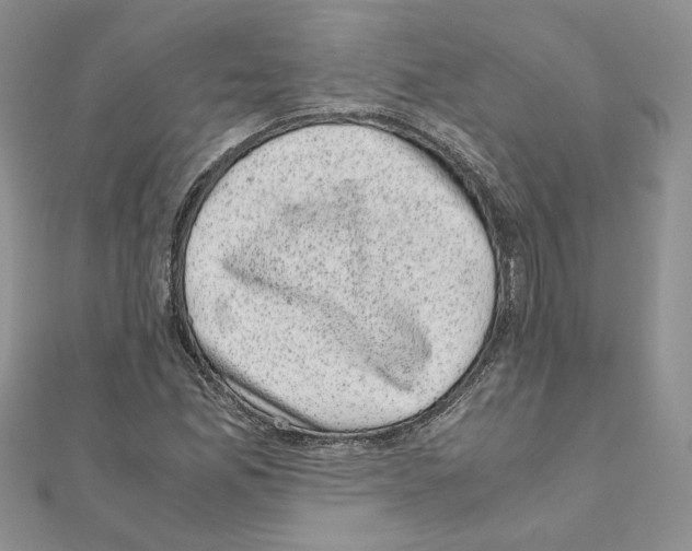 X0000111011165200907311045