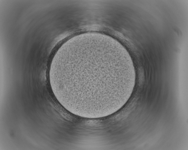 X0000111011166200907311045