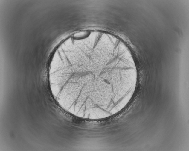 X0000111011167200907311045