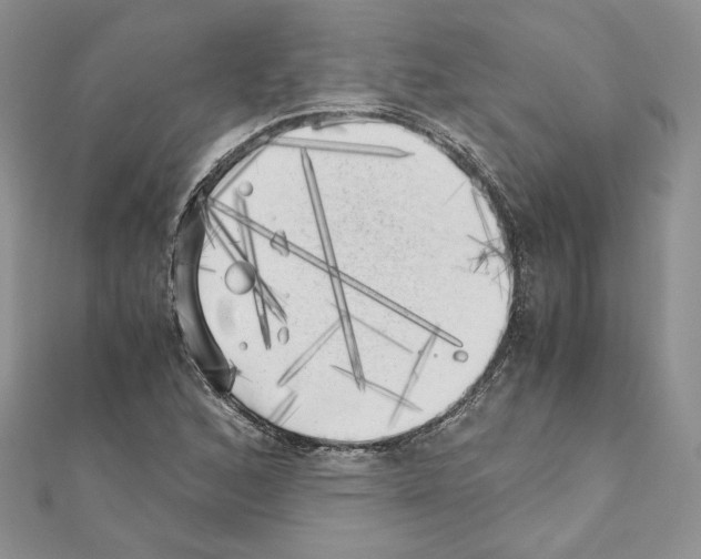 X0000111011168200907311045