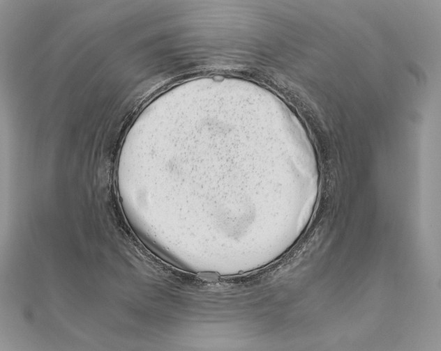 X0000111011169200907311045