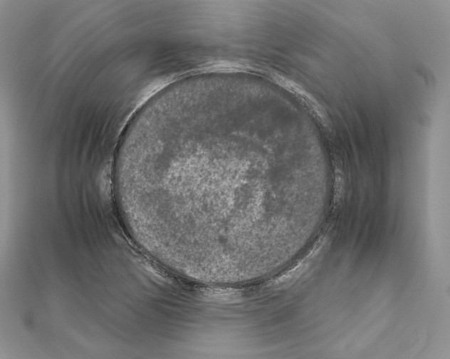 X0000111011170200907311045