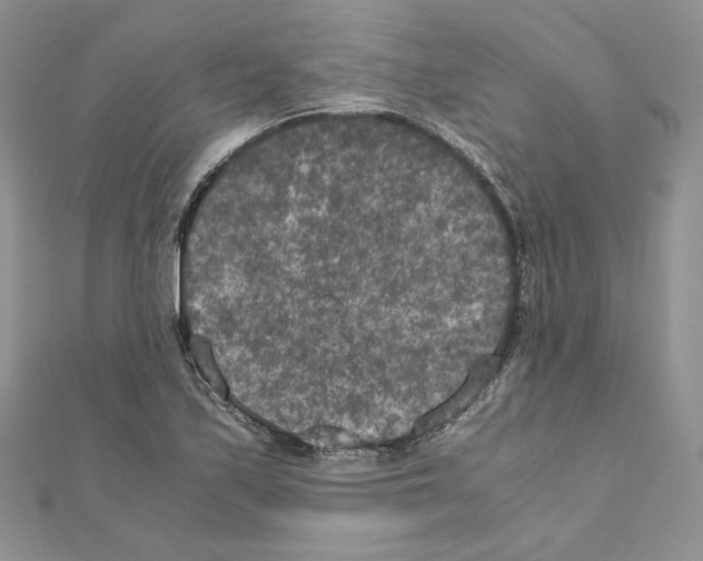 X0000111011171200907311045