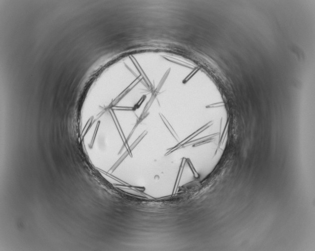 X0000111011172200907311045