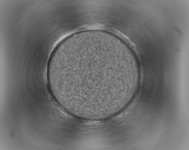 X0000111011174200907311045
