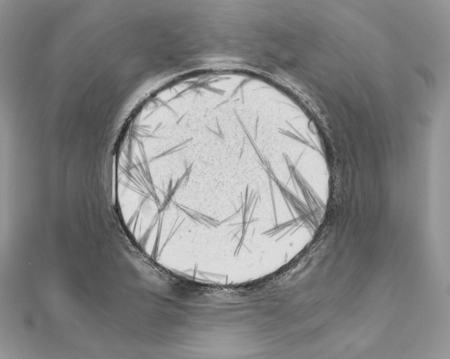 X0000111011175200907311045