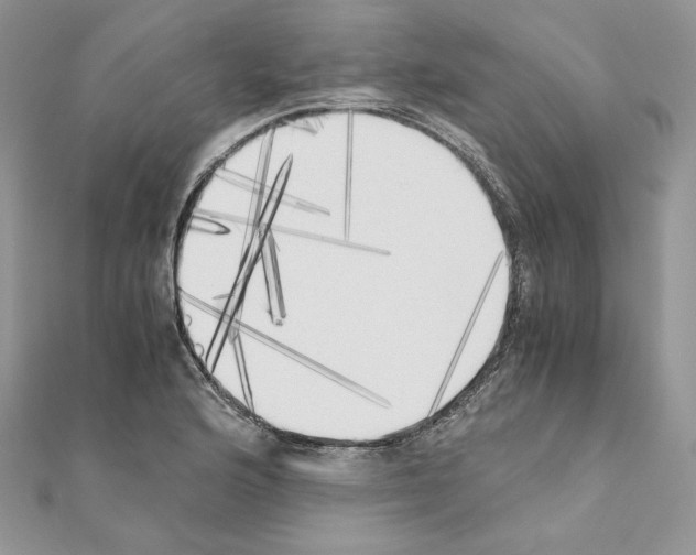 X0000111011176200907311045