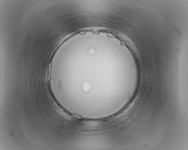 X0000111011177200907311045