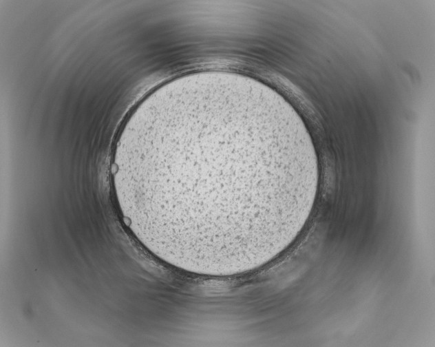 X0000111011178200907311045