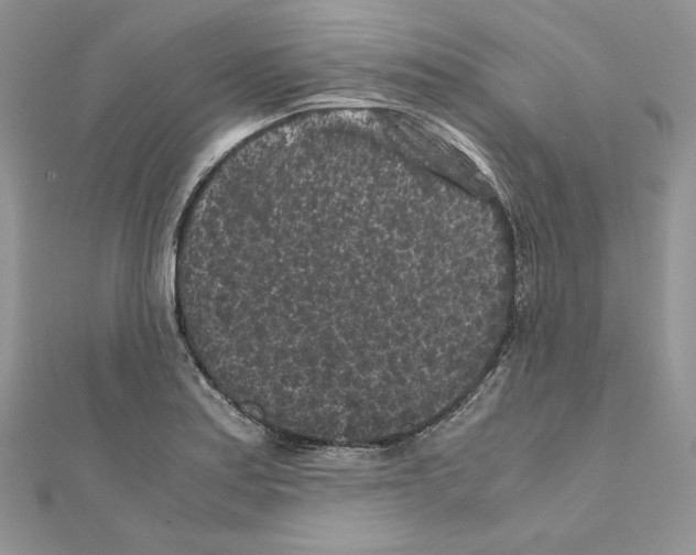 X0000111011179200907311045