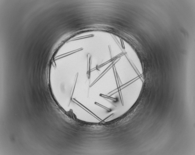 X0000111011180200907311045