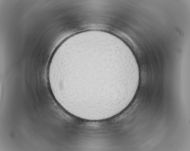 X0000111011182200907311045