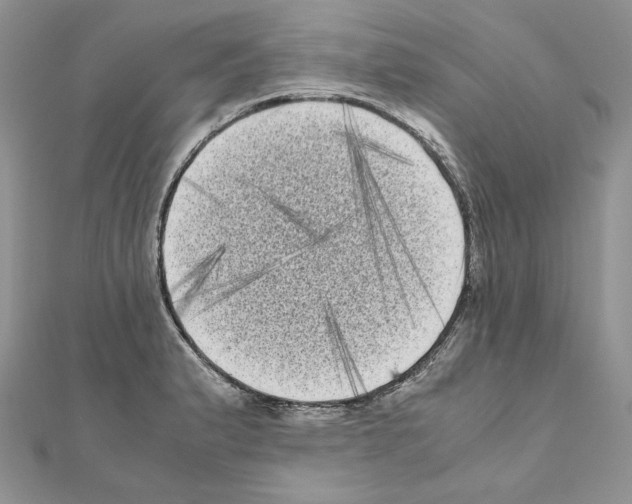 X0000111011183200907311045
