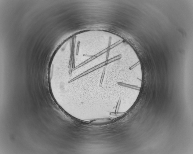 X0000111011184200907311045