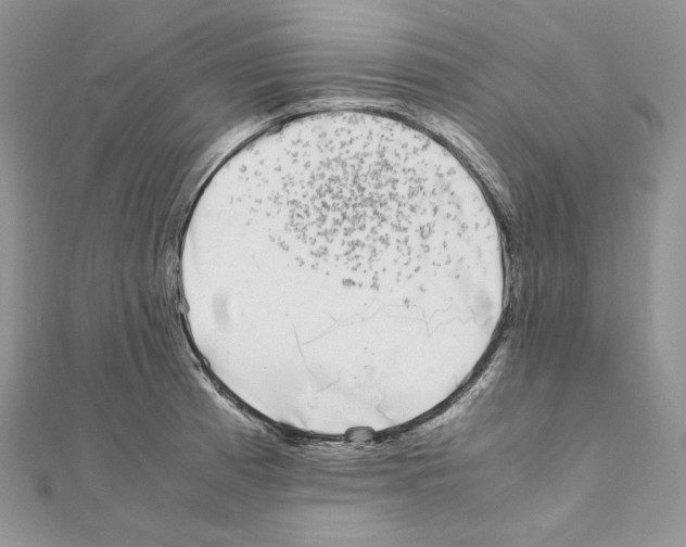 X0000111011185200907311045