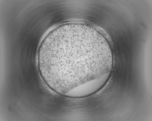 X0000111011188200907311045