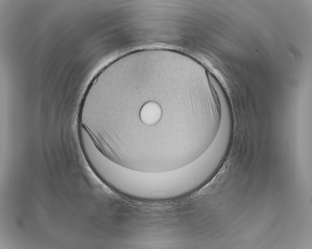 X0000111011189200907311045