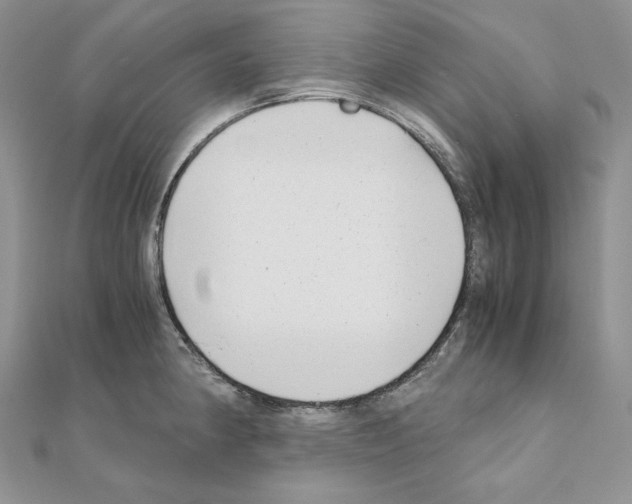 X0000111011190200907311045