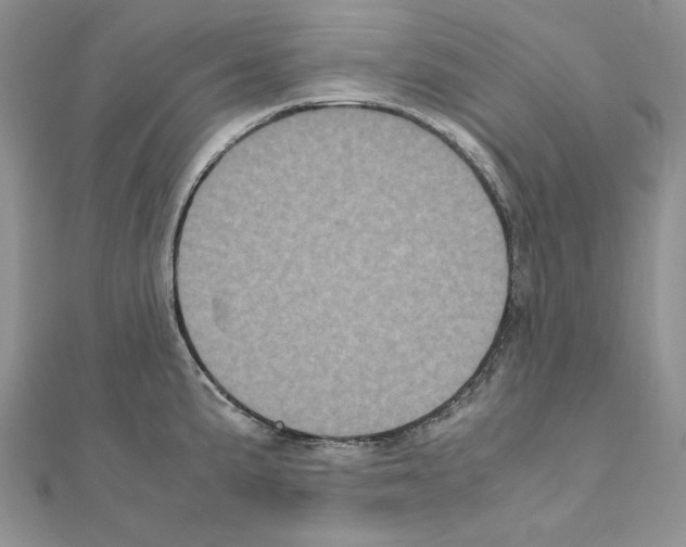 X0000111011191200907311045