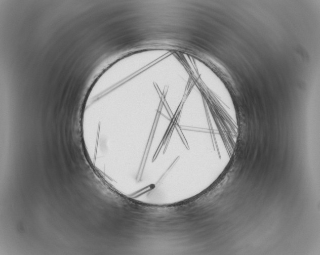 X0000111011192200907311045