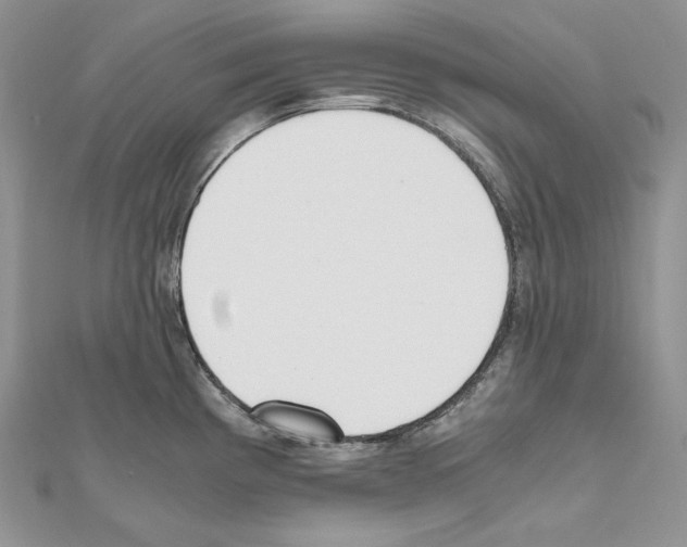 X0000111011193200907311045