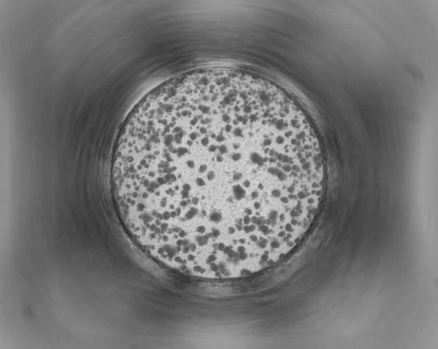 X0000111011194200907311045