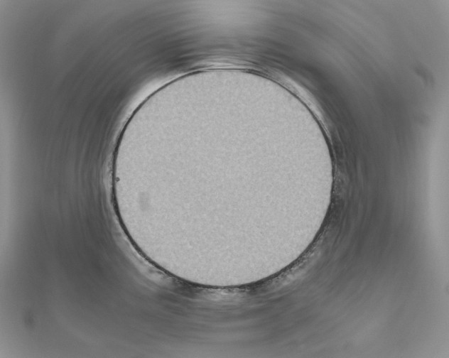 X0000111011195200907311045