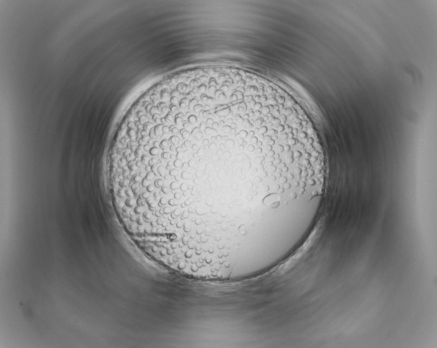 X0000111011196200907311045