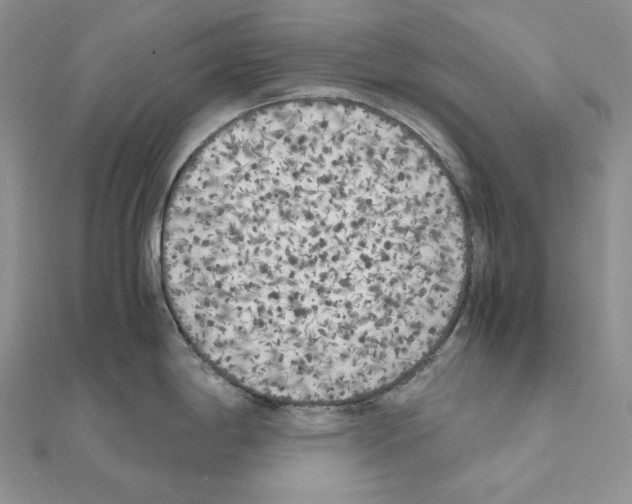 X0000111011198200907311045