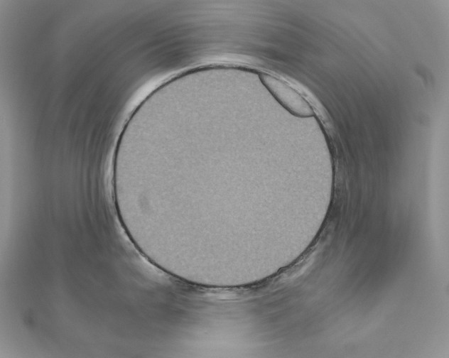 X0000111011199200907311045