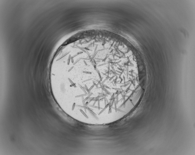 X0000111011200200907311045