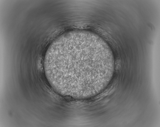 X0000111011202200907311044