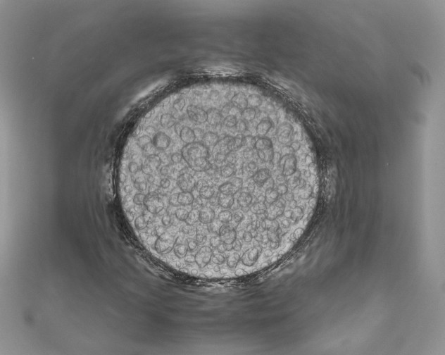X0000111011205200907311044