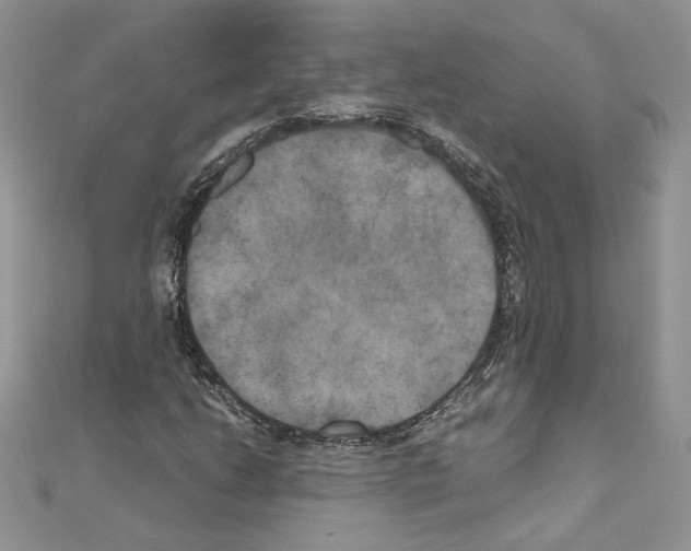 X0000111011206200907311044